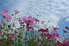 利用者の皆様へ