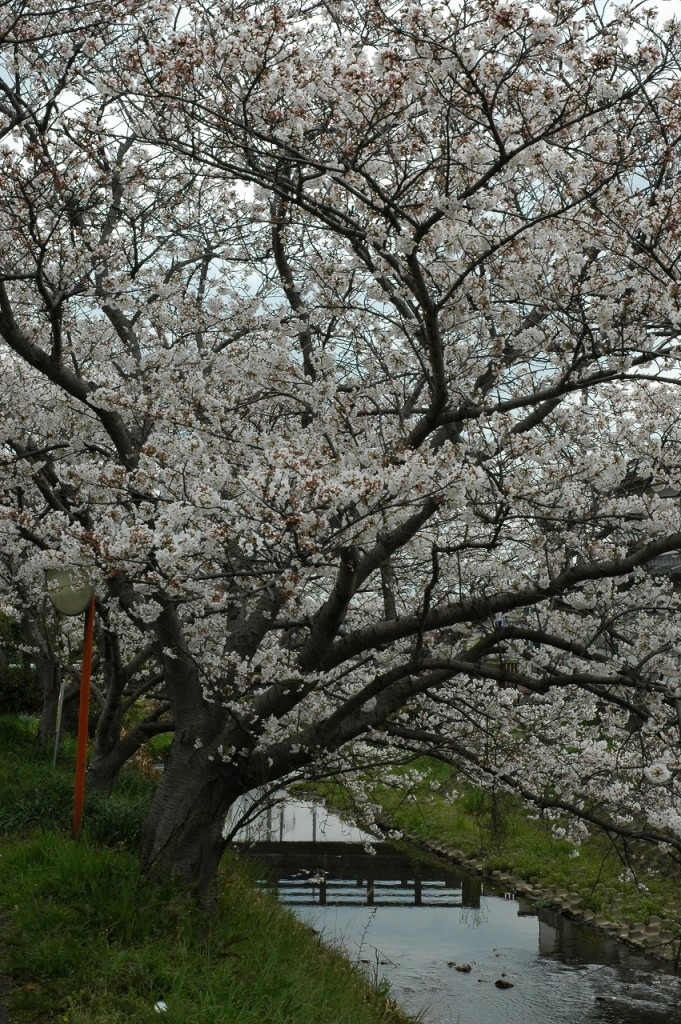 茶の間には　映らぬ汗の　人の数